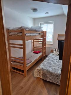 Apartmán Alfa pod sjezdovkou - Černý Dŭl - 3