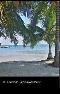 Apartamento Equipado y Centrico - Puerto Barrios - 5