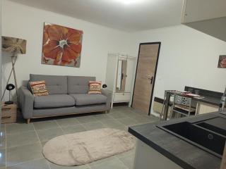 Fully equipped studio - Saint-Germain-de-Joux - 8
