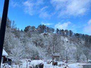 Ellas Ferienhaus - Elbingerode - 6