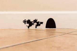 Private Pool Free Water Park Near Disney - 2