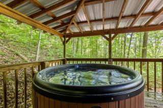 Beary Secluded No Pet Fee - Stanton - 2