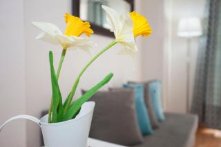 Fuencarral Apartments - 5