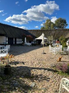 Solbjerggaard Bed & Breakfast - Faaborg - 2