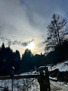 Bauwagen mit Bergblick - 6