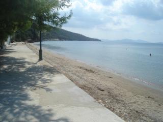 Stelios Seaside House - Lefokastro - 7