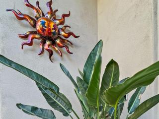 Charter Oak Scottsdale - Fountain Hills - 7