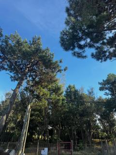 casa en La Barra LA PORTUARIA - 5