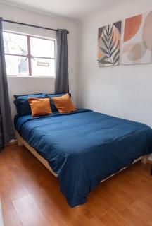 Charming 2BR Vintage Terrace in Condesa - Città del Messico - 4