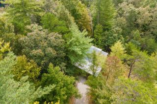 Pine Point - - 6