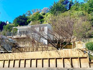 Sun Sea Scenery - Newly Renovated - Napier - 9