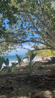 Papaya Wildlife Lodge - Cahuita - 2