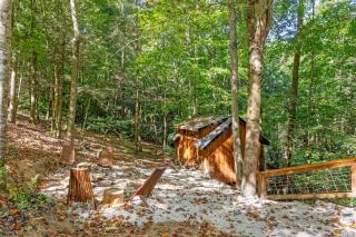 Amazonia - 6