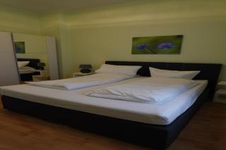 Apartment in Harz near Hexentanzplatz - Ballenstedt - 3
