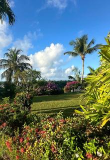 Résidence Belle Vue des îles - 2