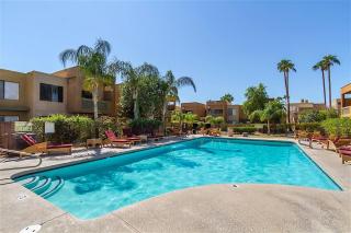 Endless Summer - Scottsdale - 0