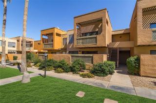 Endless Summer - Scottsdale - 9