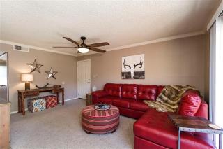 Endless Summer - Scottsdale - 8