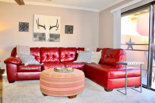 Endless Summer - Scottsdale - 6