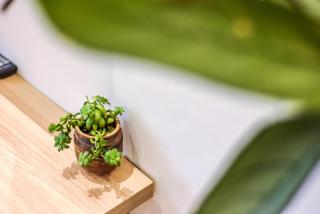 Qingmu Hotel Chongqing Jiefangbei Pedestrian Street Branch - 3