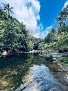 Nature home stay - Vagamon - 9