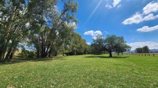 Bahwidgee Lodge - Riverside Retreat - Tumut - 5
