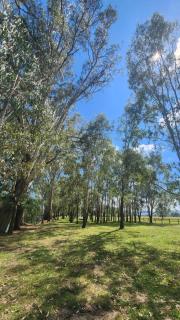Bahwidgee Lodge - Riverside Retreat - 7