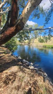 Bahwidgee Lodge - Riverside Retreat - Tumut - 8