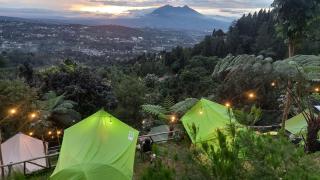 ZOYA HILLS - Pondok Cipaseban - 9