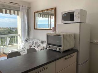 Appartement T1 lumineux avec balcon et vue sur étang à Balaruc-les-Bains - FR-1-553-295 - Balaruc-les-Bains - 3