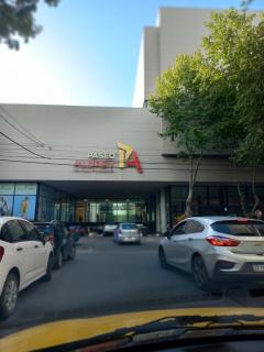 Mono ALDREY - Mar del Plata - 0