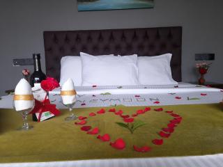 Tea Mount Forest - 0