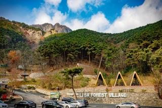 Damyang Lisa Forest Village - Damyang - 4