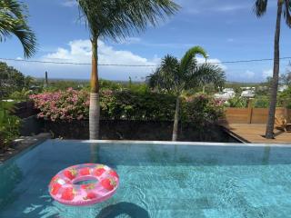 Villa Acacias - Piscine et vue panoramique - L’Étang-Salé - 4