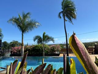 Villa Acacias - Piscine et vue panoramique - L’Étang-Salé - 5