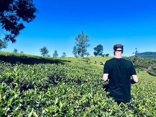 Rustique House dbl - Nuwara Eliya - 5