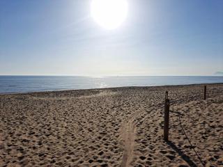 Private villa with heated pool close to the beach. - Gandía - 5