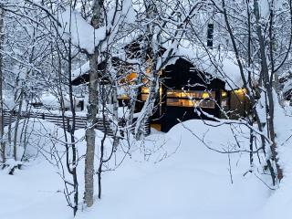 Modern Mountain Cabin Near Hiking Terrain - Geilo - 0