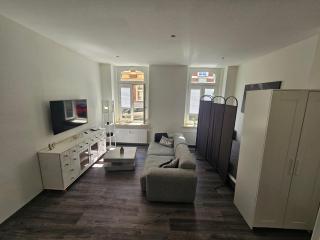 charmante Ferienwohnung am Stadtwald von Plauen - Plauen - 9
