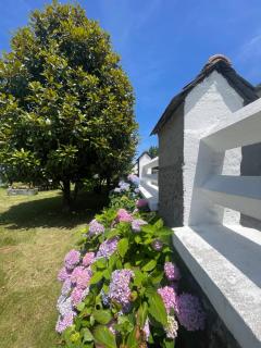 Les Hortensias - Espoey - 2