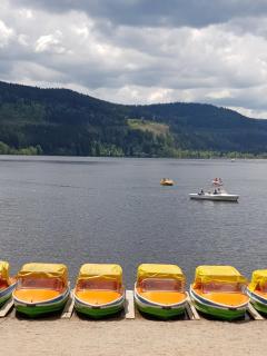 Haus an der Gutach - Titisee-Neustadt - 1