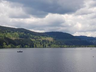 Haus an der Gutach - 5