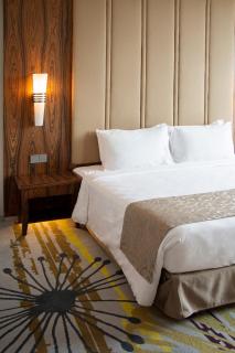 Zenith Hotel Putrajaya - Putrajaya - 3