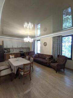 Natia's house - Tsikhisdziri - 1