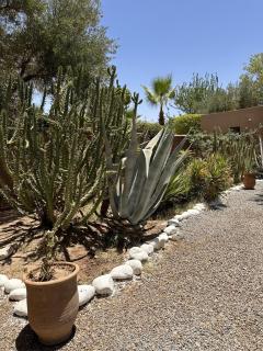 Villa Hania 4 chambres avec piscine - 9