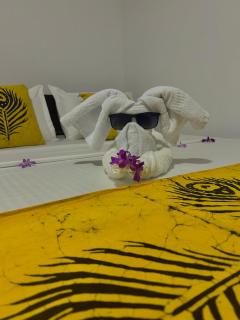 Onee House - Bentota - 4