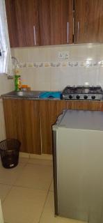 LUSH 1 Bedroom- Long urban stays homes - Nairobi - 2