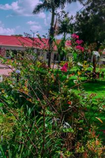 jlm hotel-busia - Busia - 5