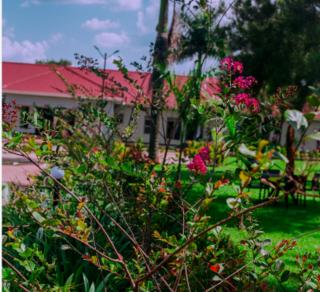 jlm hotel-busia - Busia - 4