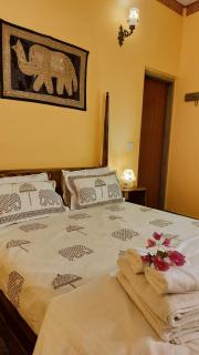 Morbagh Eco Haveli - Mandawa - 2